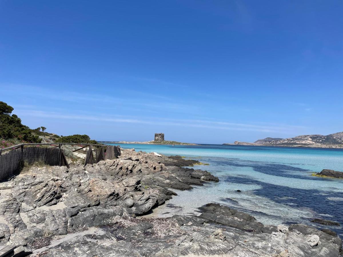 I Pescatori Di Stelle-L12 Altair Villa Stintino Luaran gambar