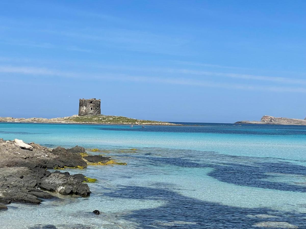 I Pescatori Di Stelle-L12 Altair Villa Stintino Luaran gambar