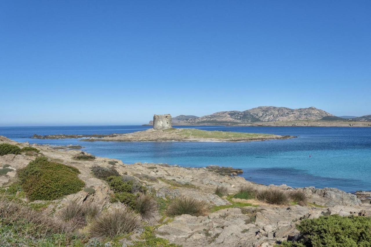 I Pescatori Di Stelle-L12 Altair Villa Stintino Luaran gambar
